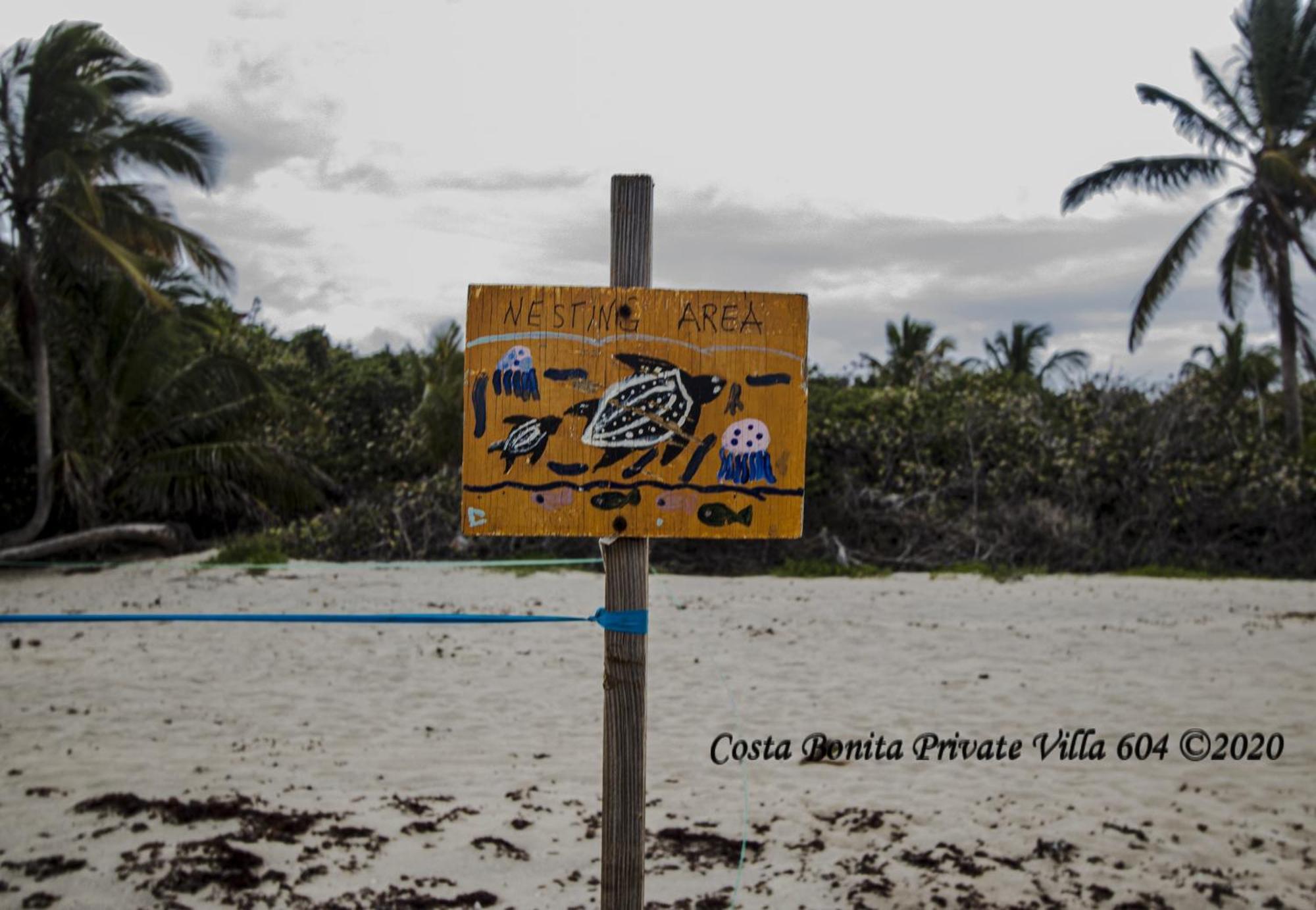 Costa Bonita Private Villa 604 Isla Culebra Dış mekan fotoğraf